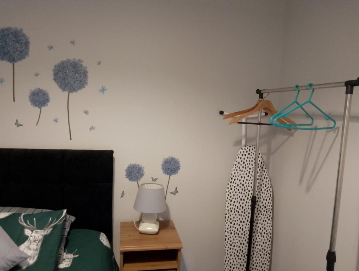 Maire Toireasa - Cosy Refurbished Property In The Gaeltacht Quarter ベルファスト エクステリア 写真