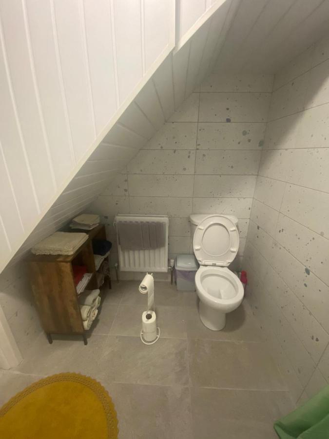 Maire Toireasa - Cosy Refurbished Property In The Gaeltacht Quarter ベルファスト エクステリア 写真